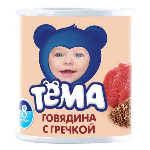 Пюре мясное Тёма Говядина с гречкой с 8 мес. 100 г в Детки