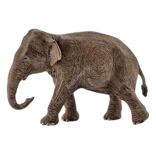 Фигурка животного Schleich Самка азиатского слона в Детки