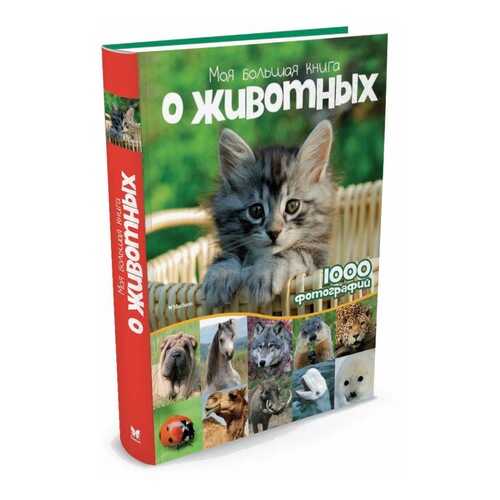 Моя Большая книга о Животных в Детки